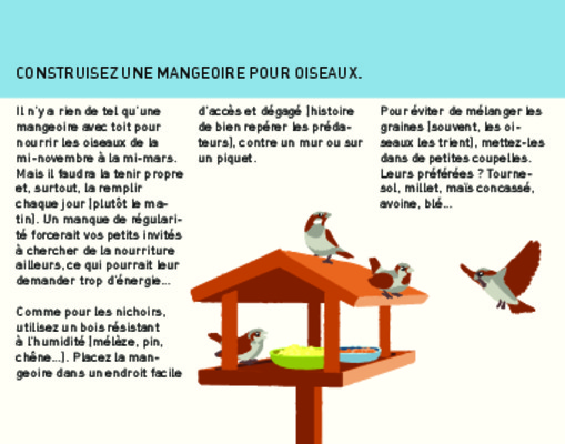 mangeoire pour oiseaux Book