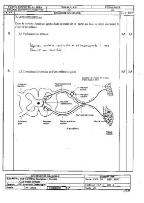 approchant Book