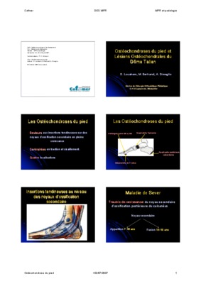 talien en 40 lecons Book