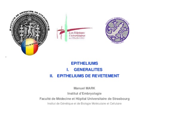 epitheliums Book