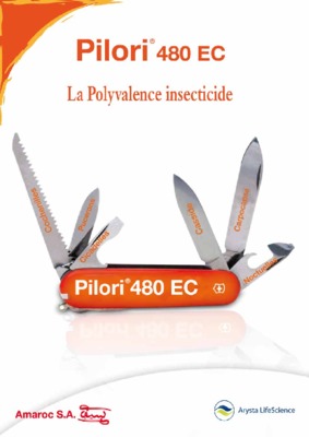 pilori Book