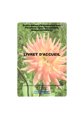 accueil de jour en ehpad Book