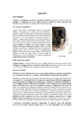 adenite Book