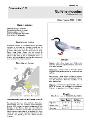 moustac Book