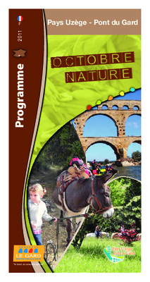 maquette du pont du gard Book