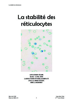 sous stades Book
