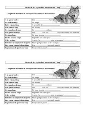 saynaite autour du loup Book
