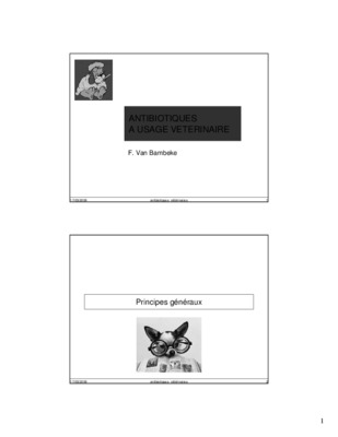 plantes usage veterinaire Book