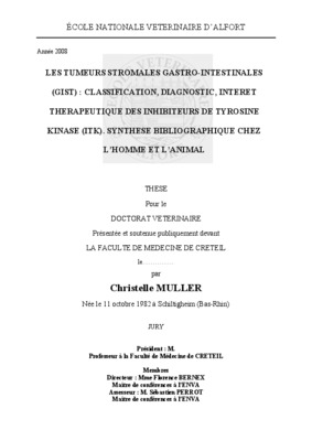 urs stromales Book