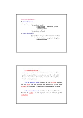 le cycle ascomycota Book