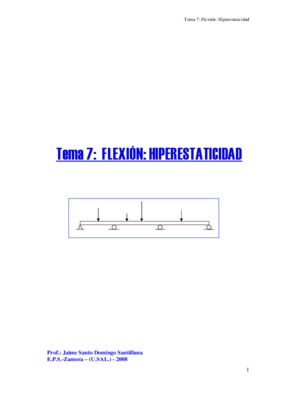 tema 7 flexion Book