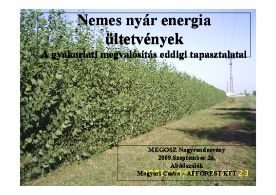 nemes Book