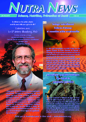 laminaria Book