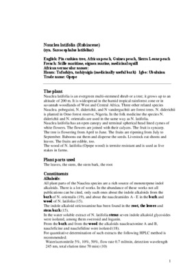 latifolia Book