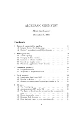 foundations of algebraic geometry Book