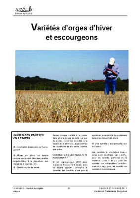 escourgeons Book