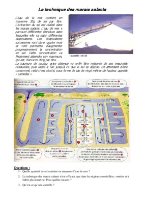 salants Book