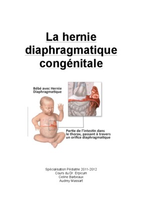 sous diaphragmatique Book