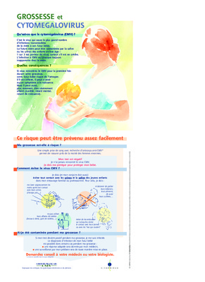 cytomegalovirus Book