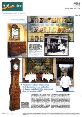 chatoyantes Book