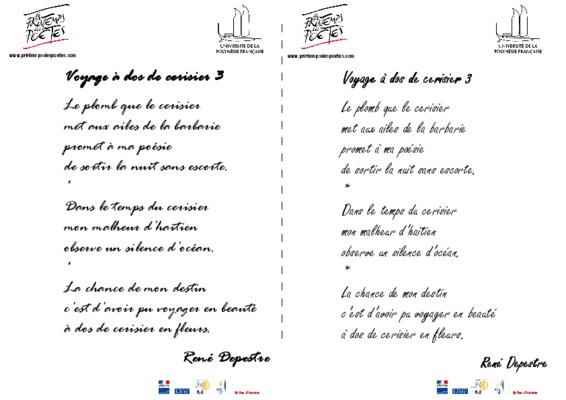 cerisier bigarreau noir Book
