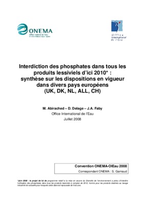 produits lessiviels Book