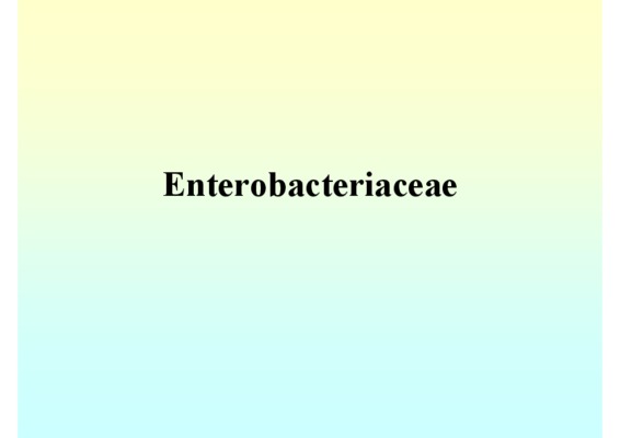 les enterobacteriaceae Book