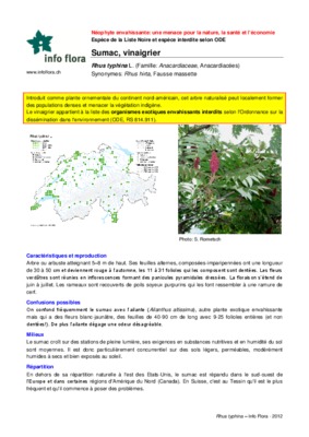 ou trouver un vinaigrier Book