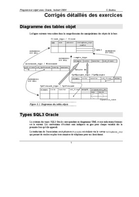 programmer objet avec oracle c soutou Book