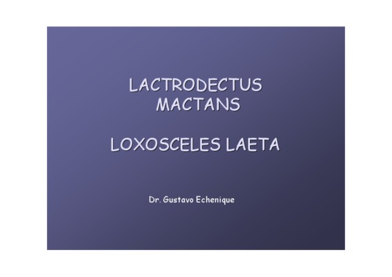 laeta Book