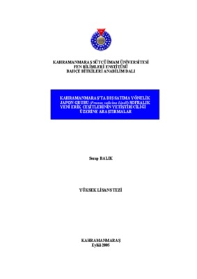 sutcu Book