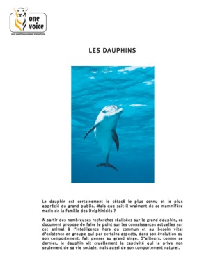 exercice sur dauphins Book