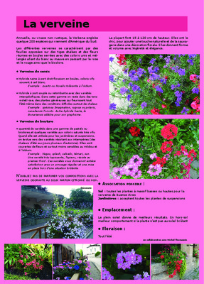 verveine Book