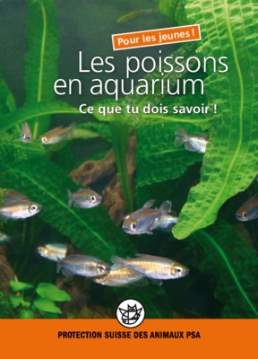 corydoras Book