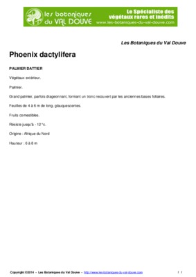 phoenix dactylifera Book