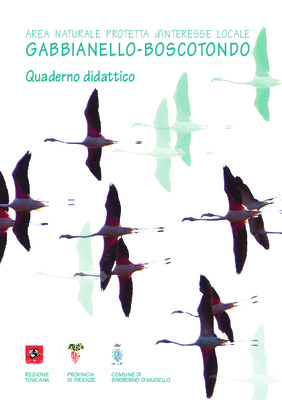 dimissione protetta Book