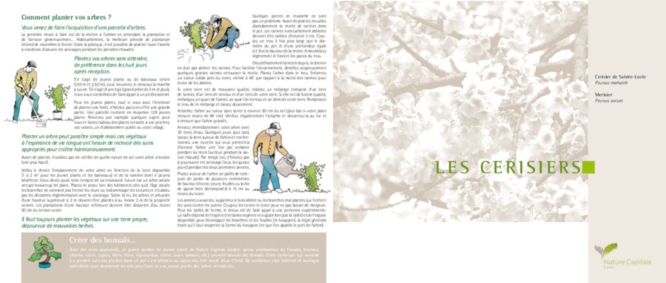 plants cerisiers de bigarreau en tunisie Book