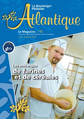 dosage de l_iode dans les farines de cereales Book
