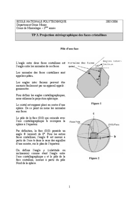 canevas de wulff Book