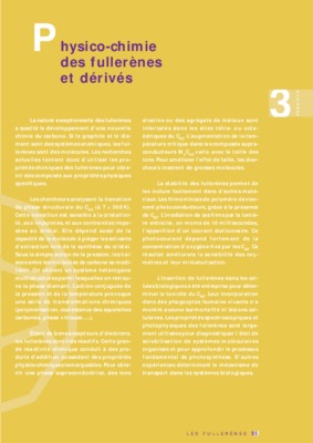 les familles de fullerenes Book