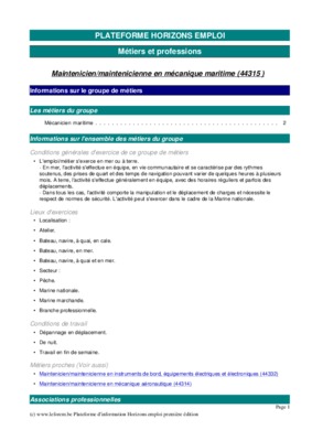 construction plateforme maritime Book