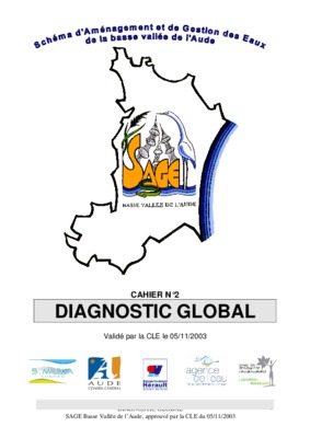elaboration cu diagnostic interne Book