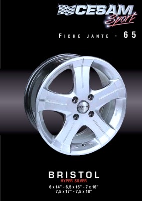 peugeot 309 grd jantes Book