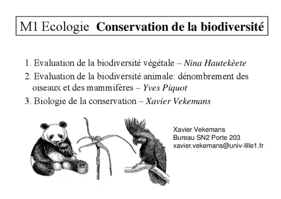 conservation du nombre Book