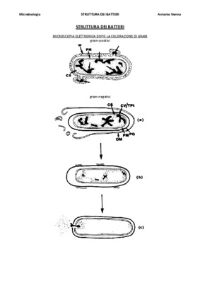 catalogue batteri shneider Book