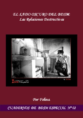relaciones destructivas Book