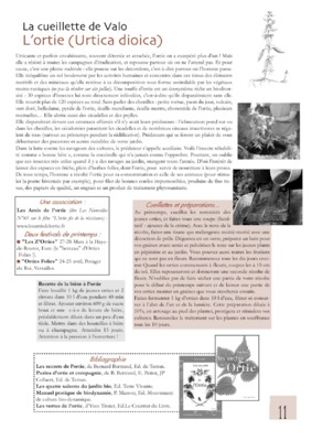 fibre grande ortie Book