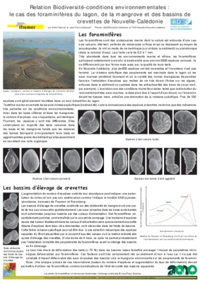 micro foraminiferes Book