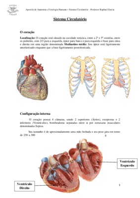 sistema circulatorio Book
