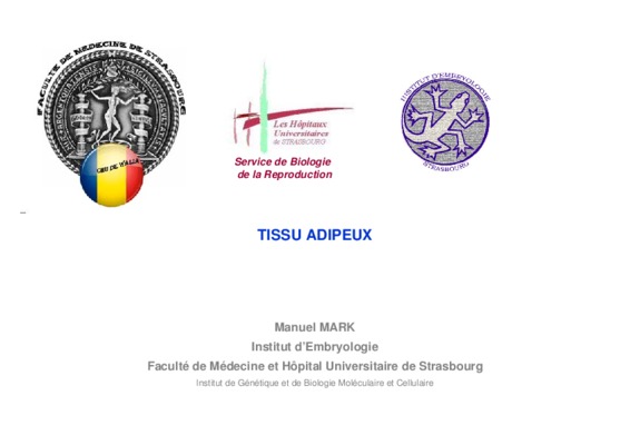 toxicite du tissu adipeux Book